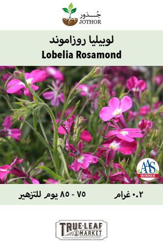 بذور لوبيليا روزاموند - Lobelia Rosamond