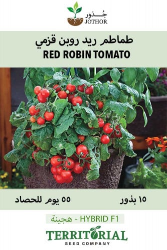 بذور طماطم قزمية ريد روبن - Tomato Little Birdy Re...
