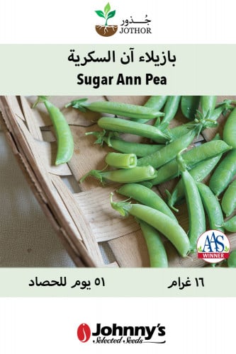 بذور بازيلاء آن السكرية - Sugar Ann Pea Seeds