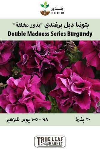 بذور بتونيا دبل برغندي - Double Madness Series Burgundy Petunia Seeds