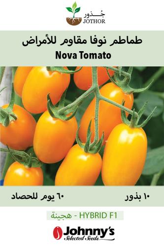 بذور طماطم نوفا مقاوم للأمراض - Nova (F1) Tomato Seed