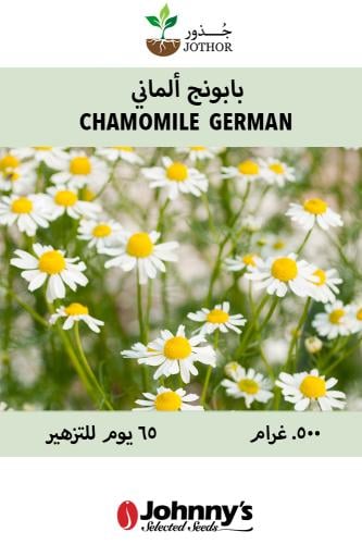 بذور بابونج ألماني - German Chamomile seeds