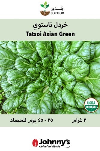 بذور بوك شوي تاستوي - Tatsoi Asian Green Seeds