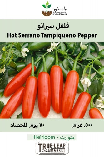 بذور فلفل سيرانو - Hot Serrano Pepper Seeds