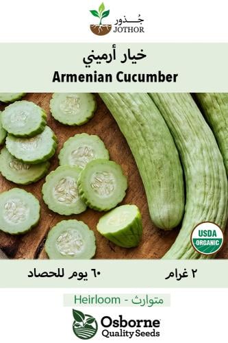 بذور خيار ارميني - Armenian Organic Cucumber Seeds