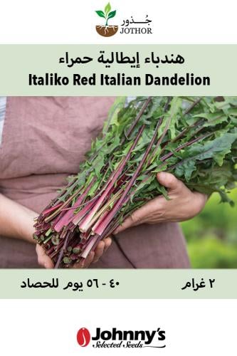 بذور هندباء ايطالية حمراء -