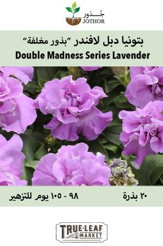 بذور بتونيا دبل لافندر - Double Madness Series Lavender Petunia Seeds