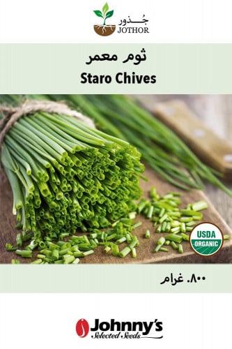 بذور ثوم معمر عضوي - Staro Chive Seeds