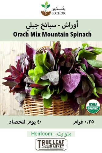 بذور أوراش سبانخ جبلي - Orach Mountain Spinach Seeds