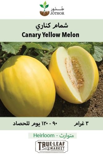 بذور شمام كناري - Cnary melon Seeds