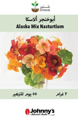 بذور ابو خنجر الاسكا - Alaska Mix Nasturtium Seeds