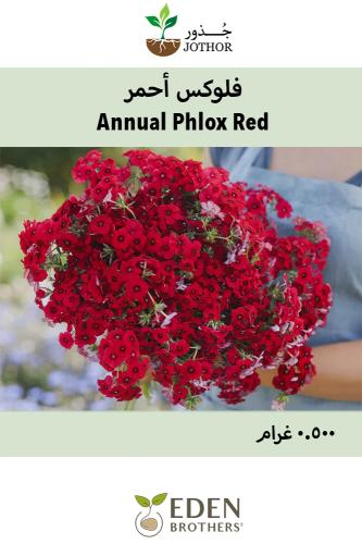 بذور فلوكس أحمر - Annual Phlox Seeds - Red