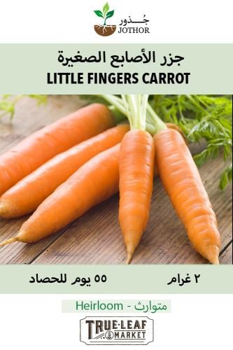 بذور جزر الأصابع الصغيرة - Carrot Little Fingers Seeds