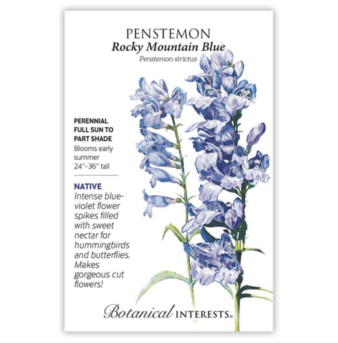 بذور روكي ماونتن بلو - Rocky Mountain Blue Penstemon Seeds