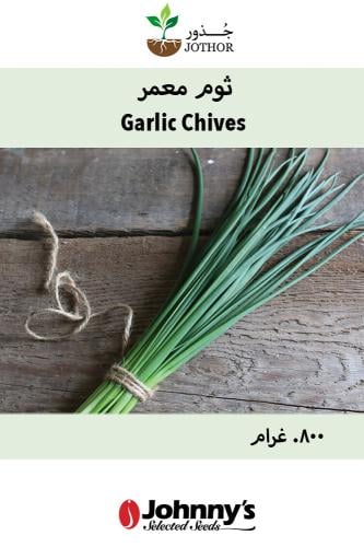 بذور ثوم معمر عضوي - Staro Chive Seeds