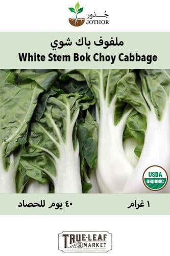 بذور باك شوي - White Stem Pak Choi Cabbage Seeds