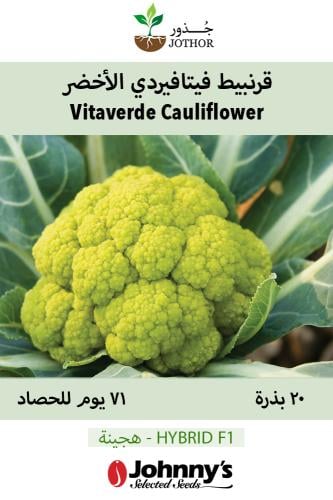 بذور قرنبيط فيتا فيردي الأخضر - Vitaverde Cauliflo...