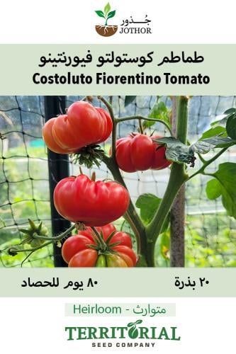 بذور طماطم كوستولتو فيورنتينو - Costoluto Fiorentino Tomato  Seeds