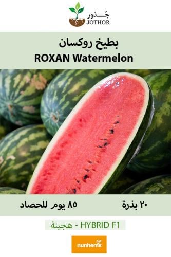 بذور بطيخ روكسان - Roxan watermelon