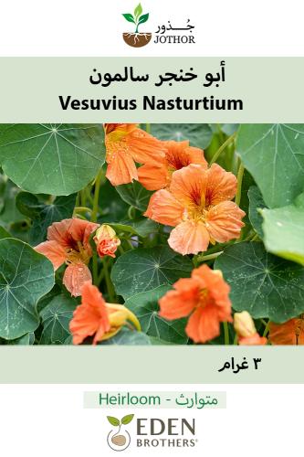 بذور ابو خنجر سالمون - Nasturtium Gleam Salmon Seeds