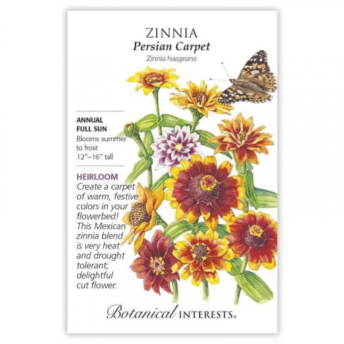 بذور زينيا السجادة الفارسية - Zinnia Persian Carpet Seeds