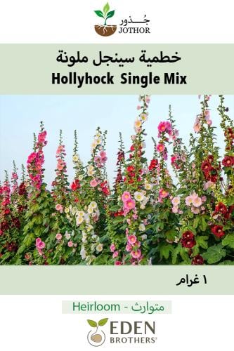 بذور خطمية سينقل - Hollyhock Single Mix Seeds