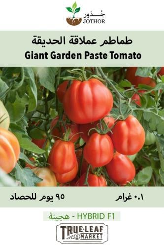 بذور طماطم عملاقة الحديقة - Giant Garden Paste Tom...