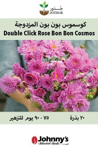 بذور كوسموس بون بون المزدوجة - Double Click Rose Bon Bon Cosmos Seed