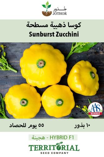بذور كوسا مسطحة - Sunburst Summer Squash Seed