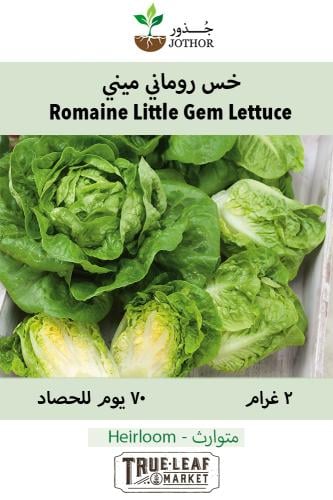 بذور خس روماني ميني - Romaine - Little Gem Lettuce Seeds
