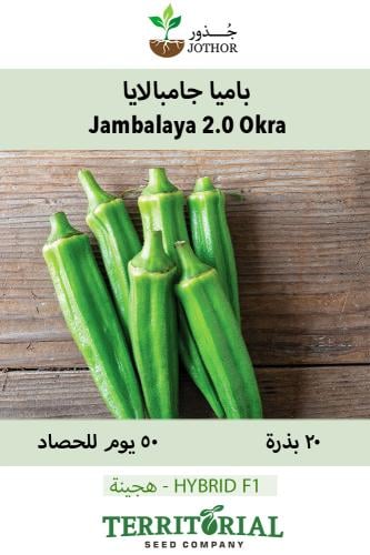 بذور بامية جامبالايا - Jambalaya (F1) Okra Seed
