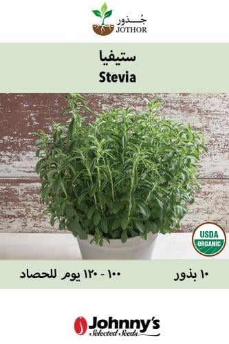 بذور ستيفيا - Stevia Herb Seed