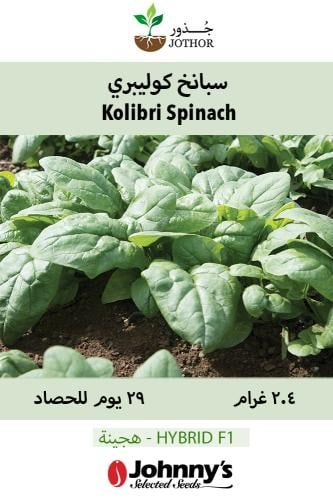 بذور سبانخ كوليبري - Kolibri Spinach Seeds
