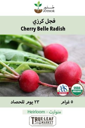 بذور فجل كرزي - Cherry Belle Radish Seeds