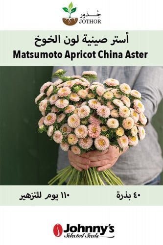 بذور استر صينية لون الخوخ - Matsumoto Apricot Film...