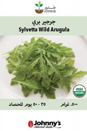 بذور جرجير بري سيليفتا عضوي - Sylvetta Wild Arugula Seeds