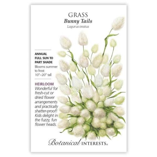 عشب الزينة - Grass Bunny Tails