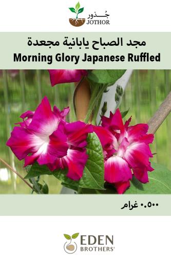 بذور مجد الصباح يابانية مجعدة - Japanese Ruffled Morning Glory Seeds