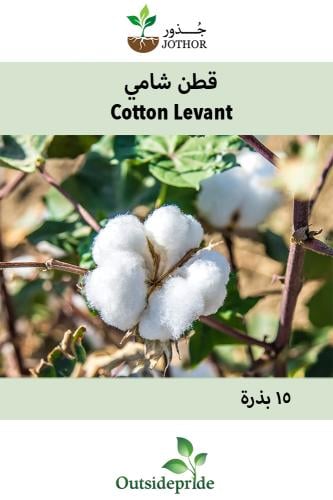 بذور قطن شامي - Coton Levant Seeds