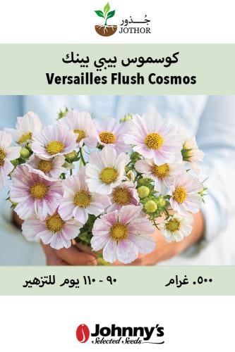 بذور كوسموس بيبي بينك - Versailles Flush Cosmos Seed