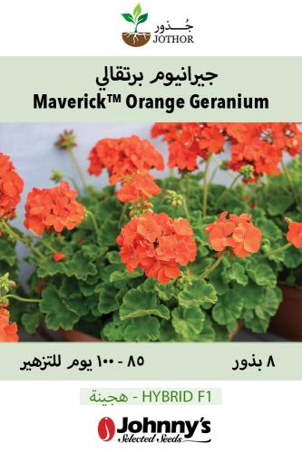 بذور جيرانيوم برتقالي - Maverick™ Orange Geranium Seed