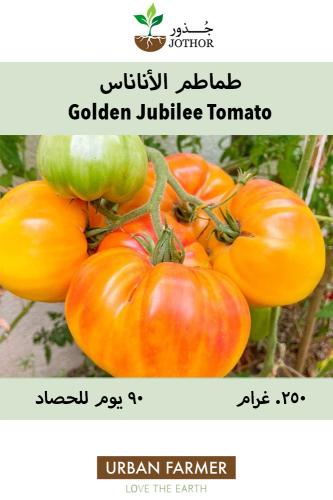 بذور طماطم الاناناس - Pineapple Tomato Seeds