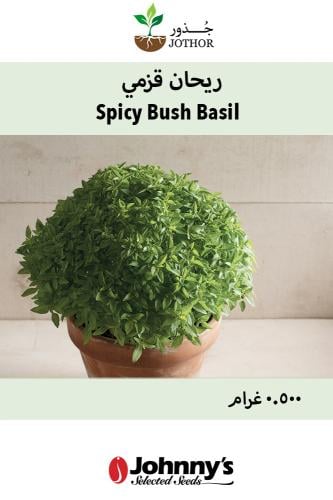 بذور ريحان قزمي - Spicy Bush Basil Seeds