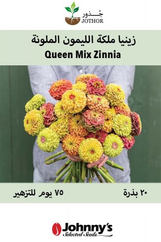 بذور زينيا ملكة الليمون الملونة - Queen Mix Zinnia...