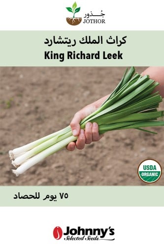 بذور كراث الملك ريتشارد - King Richard Organic Lee...