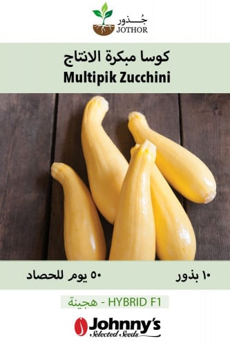 بذور كوسا مبكرة الانتاج - Multipik Zucchini Squash...