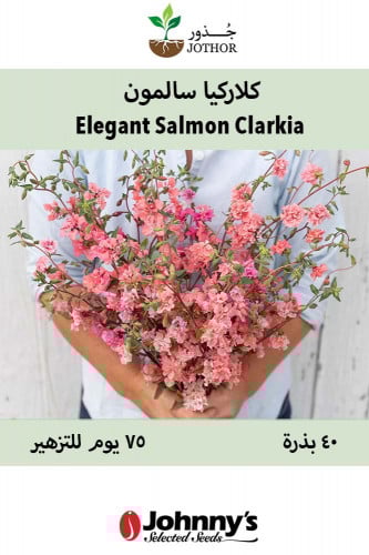 بذور كلاركيا سالمون - Elegant Salmon Clarkia Seed