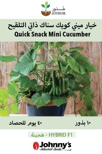 بذور خيار كويك سناك ذاتي التلقيح - Quick Snack Min...