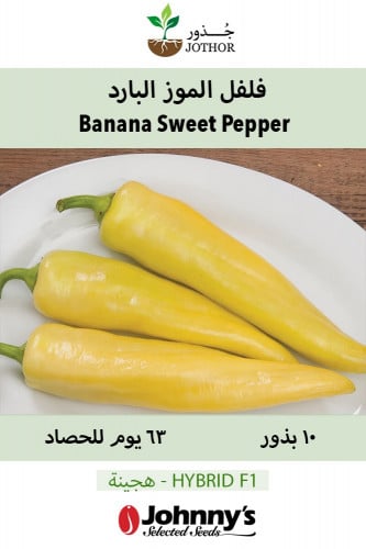 بذور فلفل الموز البارد - Goddess (F1) Banana Pepper Seeds