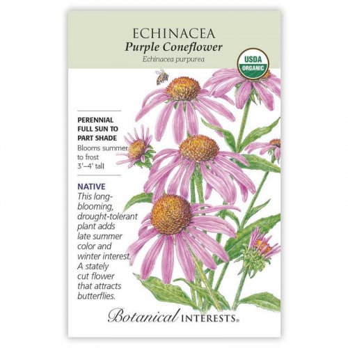 بذور اكنيشيا - Echinacea Purple Coneflower Seeds